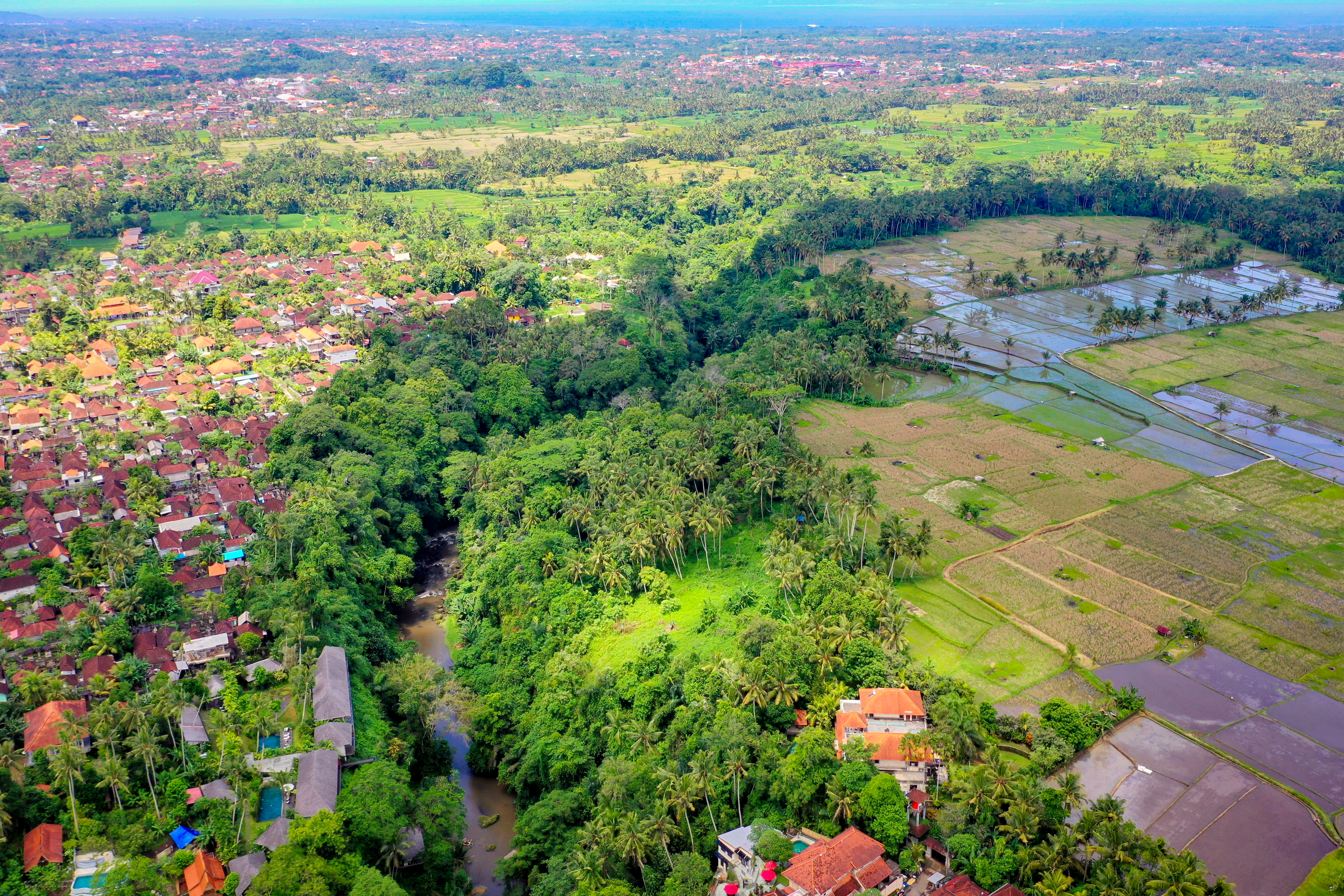 Petanu Valley aerial